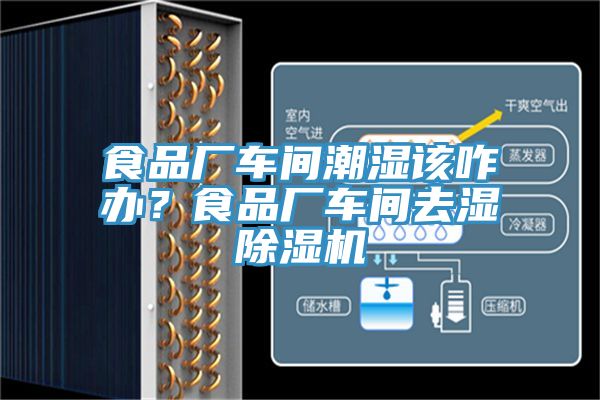 食品廠車間潮濕該咋辦？食品廠車間去濕除濕機(jī)