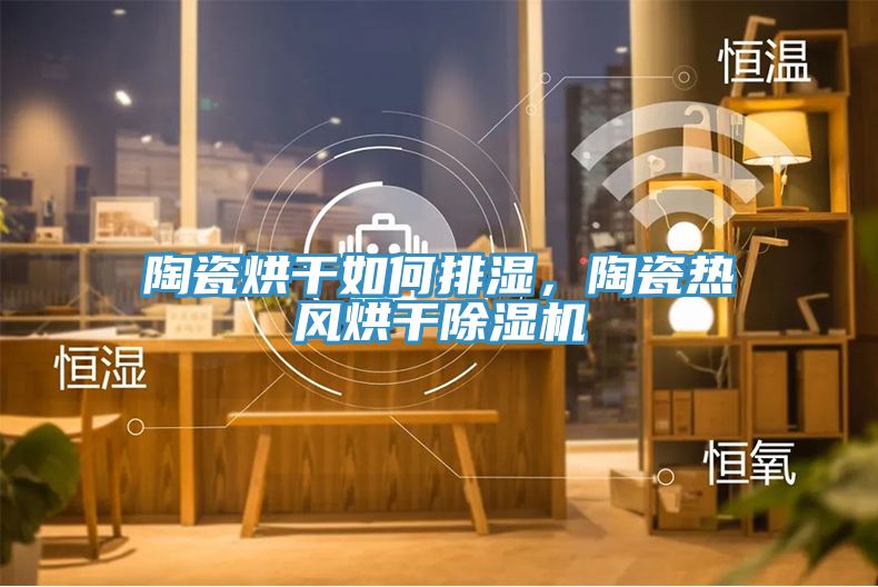 陶瓷烘干如何排濕，陶瓷熱風(fēng)烘干除濕機(jī)