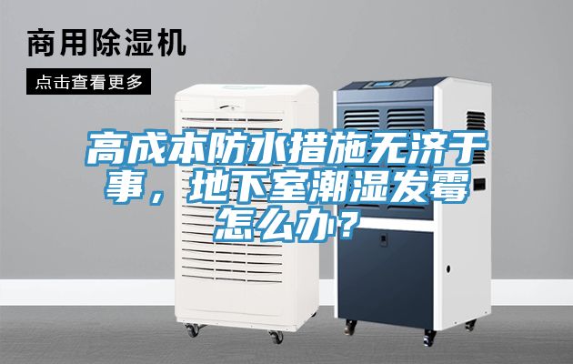 高成本防水措施無濟于事，地下室潮濕發(fā)霉怎么辦？