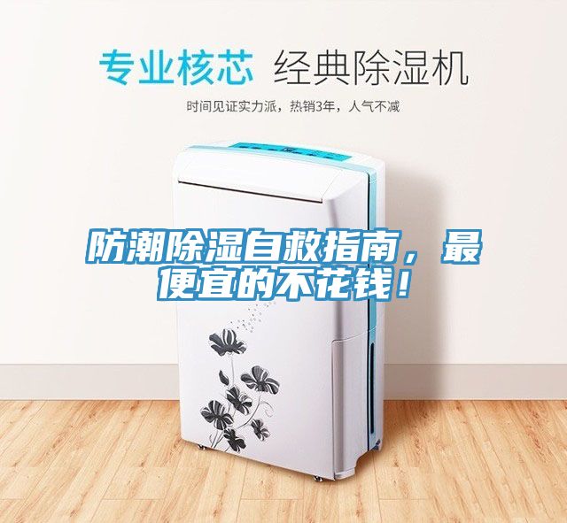 防潮除濕自救指南，最便宜的不花錢！