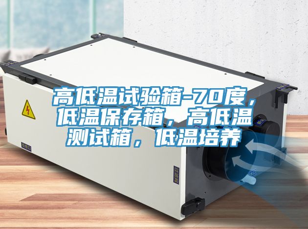 高低溫試驗(yàn)箱-70度，低溫保存箱，高低溫測(cè)試箱，低溫培養(yǎng)