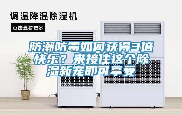 防潮防霉如何獲得3倍快樂？來接住這個除濕新寵即可享受