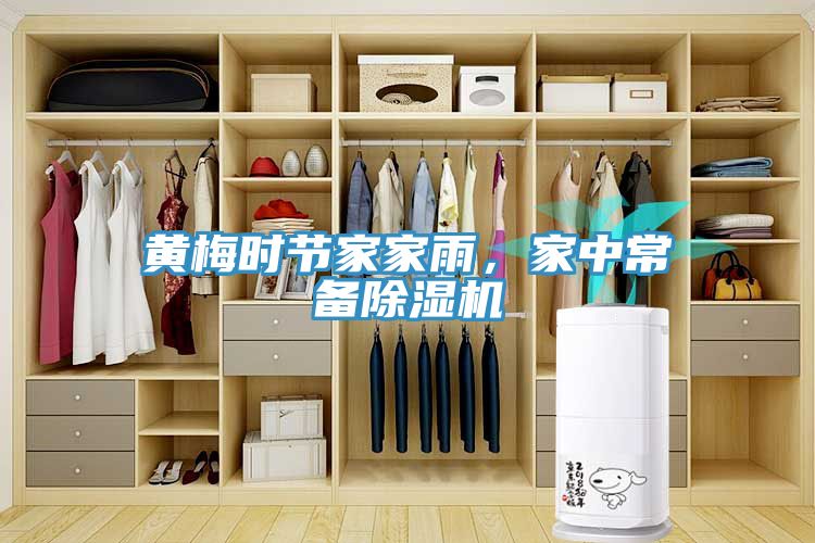 黃梅時節(jié)家家雨，家中常備除濕機