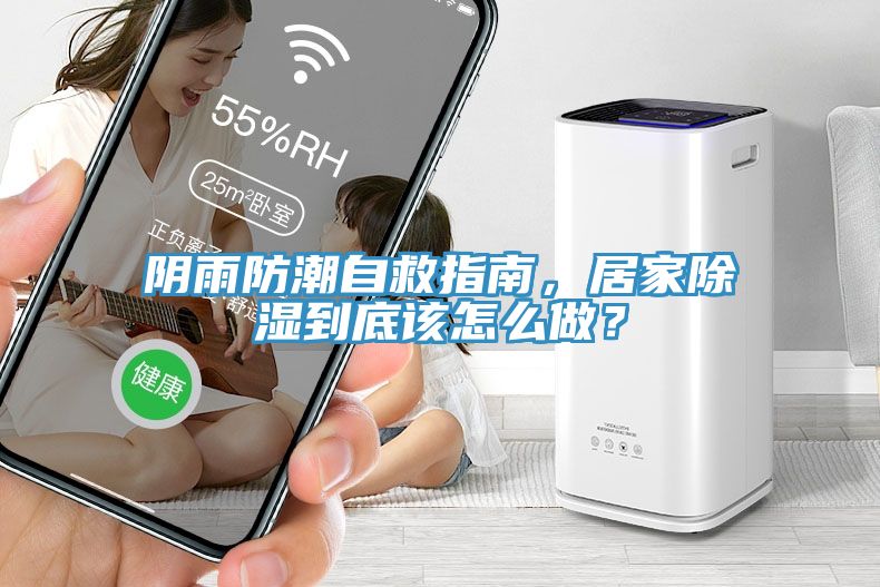 陰雨防潮自救指南，居家除濕到底該怎么做？