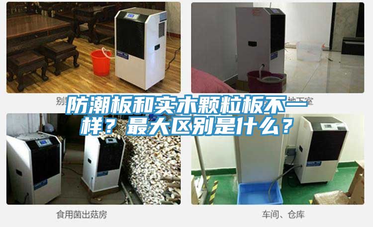 防潮板和實(shí)木顆粒板不一樣？最大區(qū)別是什么？
