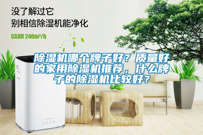 除濕機哪個牌子好？質(zhì)量好的家用除濕機推薦，什么牌子的除濕機比較好？