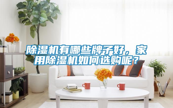 除濕機有哪些牌子好，家用除濕機如何選購呢？