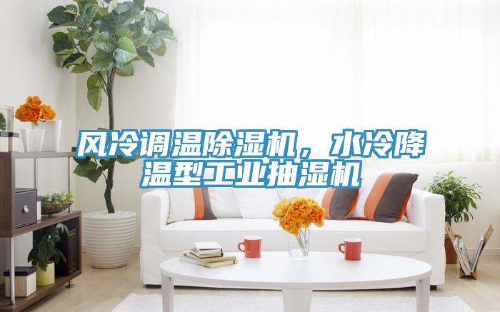 風(fēng)冷調(diào)溫除濕機(jī)，水冷降溫型工業(yè)抽濕機(jī)
