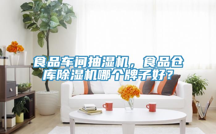 食品車(chē)間抽濕機(jī)，食品倉(cāng)庫(kù)除濕機(jī)哪個(gè)牌子好？