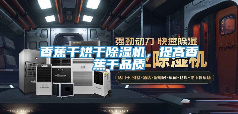 香蕉干烘干除濕機(jī)，提高香蕉干品質(zhì)