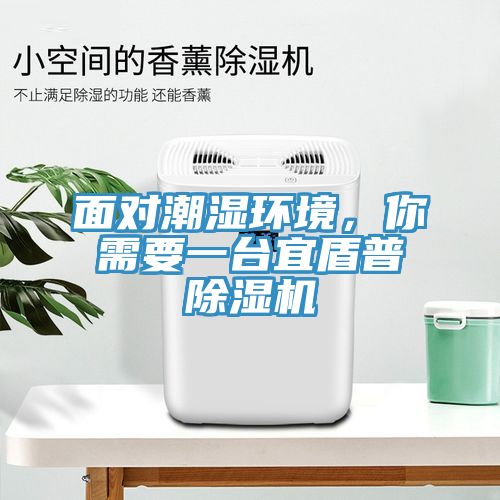 面對(duì)潮濕環(huán)境，你需要一臺(tái)宜盾普除濕機(jī)