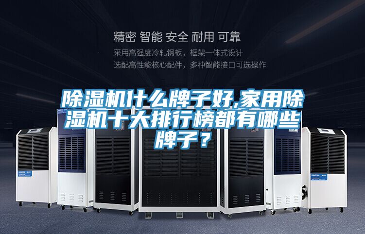 除濕機(jī)什么牌子好,家用除濕機(jī)十大排行榜都有哪些牌子？