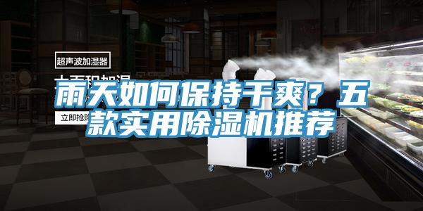 雨天如何保持干爽？五款實用除濕機(jī)推薦