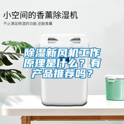 除濕新風(fēng)機(jī)工作原理是什么？有產(chǎn)品推薦嗎？