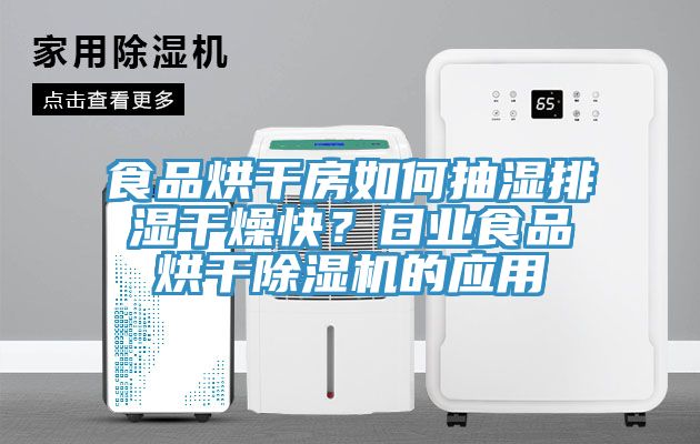 食品烘干房如何抽濕排濕干燥快？日業(yè)食品烘干除濕機的應(yīng)用