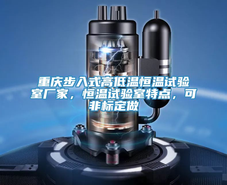 重慶步入式高低溫恒溫試驗(yàn)室廠家，恒溫試驗(yàn)室特點(diǎn)，可非標(biāo)定做