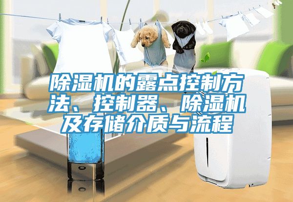 除濕機(jī)的露點(diǎn)控制方法、控制器、除濕機(jī)及存儲(chǔ)介質(zhì)與流程