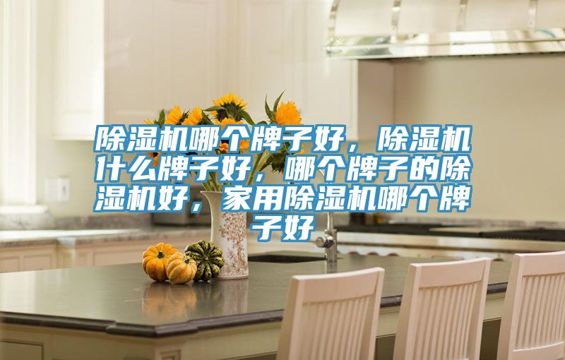 除濕機哪個牌子好，除濕機什么牌子好，哪個牌子的除濕機好，家用除濕機哪個牌子好