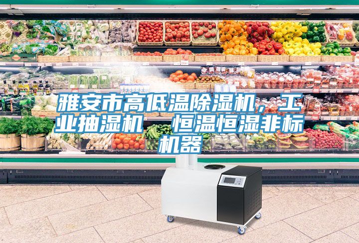 雅安市高低溫除濕機，工業(yè)抽濕機  恒溫恒濕非標機器
