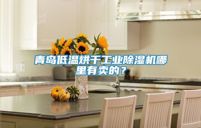 青島低溫烘干工業(yè)除濕機(jī)哪里有賣的？