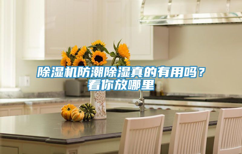 除濕機(jī)防潮除濕真的有用嗎？看你放哪里