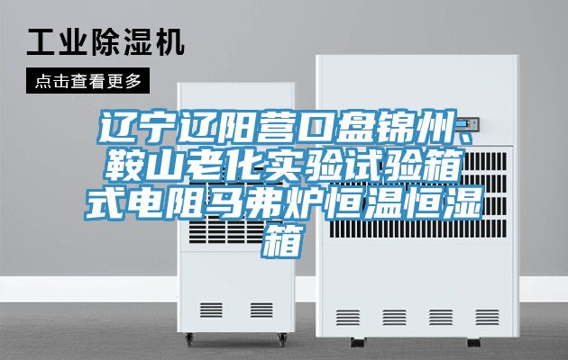 遼寧遼陽營口盤錦州、鞍山老化實(shí)驗(yàn)試驗(yàn)箱式電阻馬弗爐恒溫恒濕箱