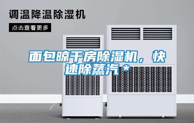 面包晾干房除濕機(jī)，快速除蒸汽＊