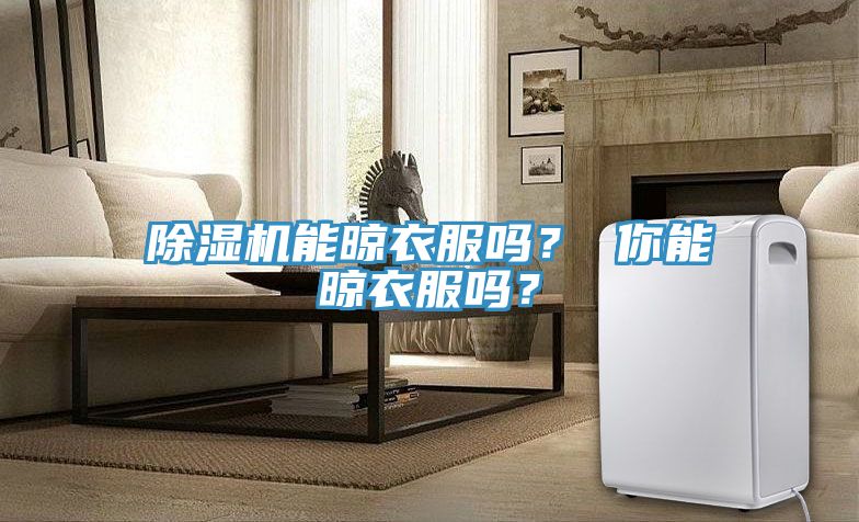 除濕機(jī)能晾衣服嗎？ 你能晾衣服嗎？