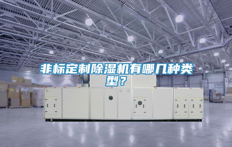 非標(biāo)定制除濕機(jī)有哪幾種類型？