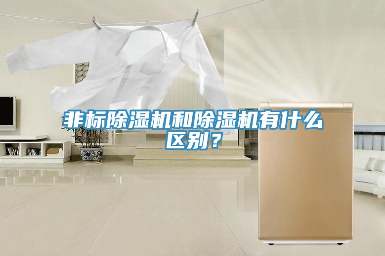非標(biāo)除濕機(jī)和除濕機(jī)有什么區(qū)別？