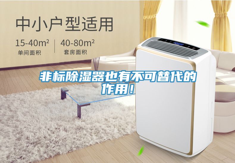 非標(biāo)除濕器也有不可替代的作用！