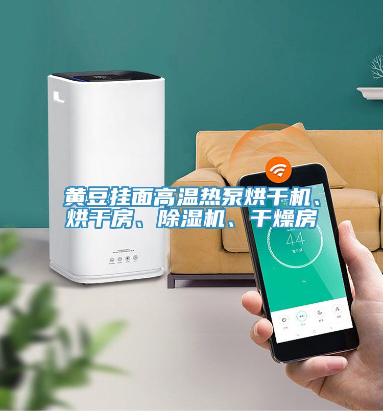 黃豆掛面高溫?zé)岜煤娓蓹C、烘干房、除濕機、干燥房