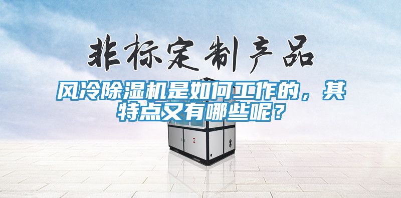 風(fēng)冷除濕機(jī)是如何工作的，其特點(diǎn)又有哪些呢？