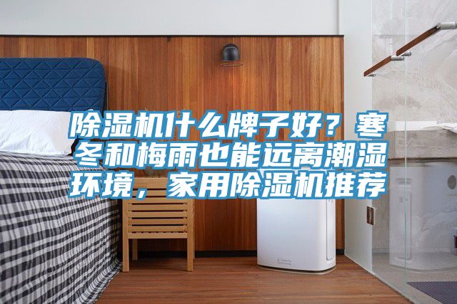 除濕機(jī)什么牌子好？寒冬和梅雨也能遠(yuǎn)離潮濕環(huán)境，家用除濕機(jī)推薦