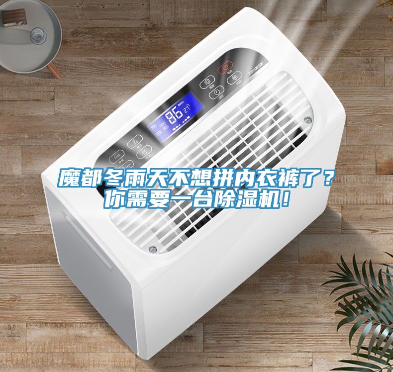 魔都冬雨天不想拼內(nèi)衣褲了？你需要一臺除濕機！