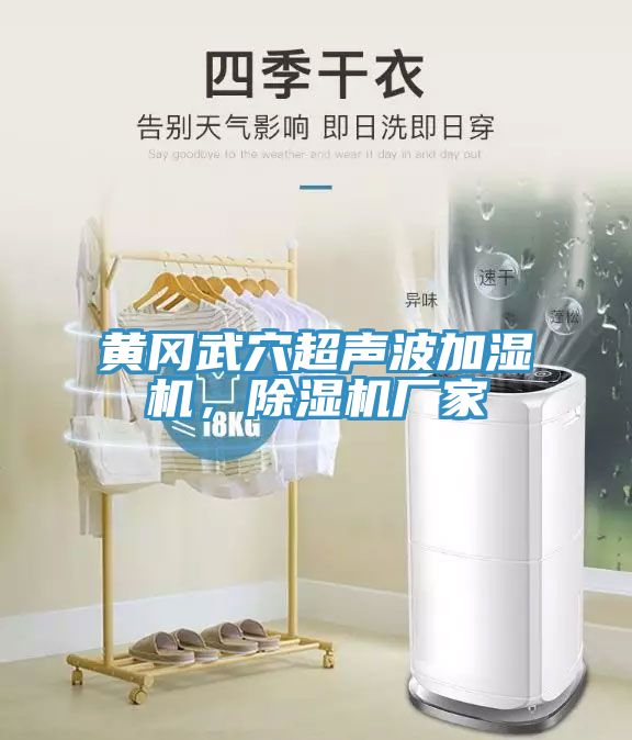 黃岡武穴超聲波加濕機(jī)，除濕機(jī)廠家