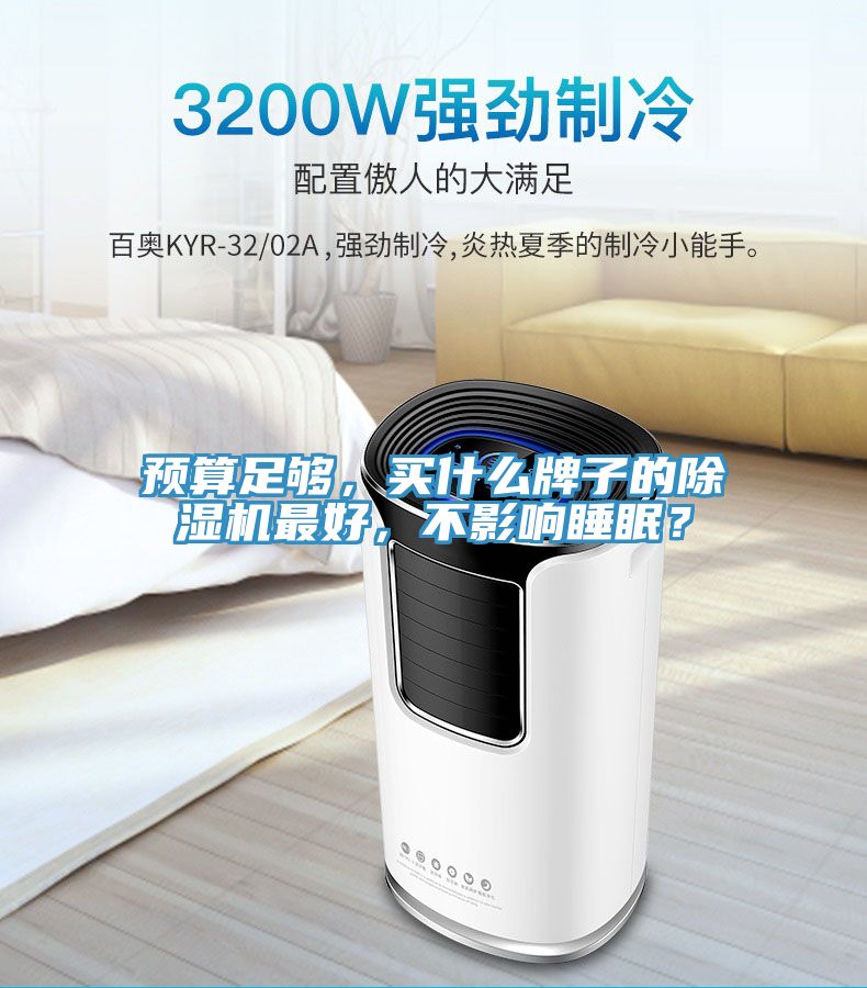 預(yù)算足夠，買(mǎi)什么牌子的除濕機(jī)最好，不影響睡眠？