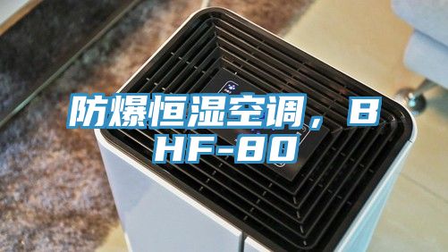 防爆恒濕空調(diào)，BHF-80