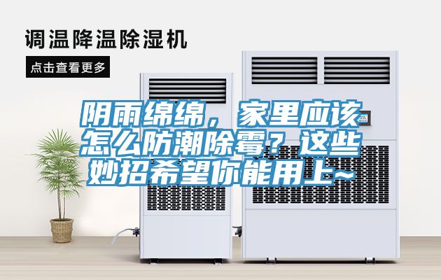 陰雨綿綿，家里應該怎么防潮除霉？這些妙招希望你能用上~
