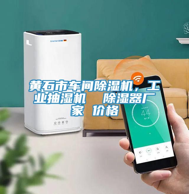 黃石市車間除濕機，工業(yè)抽濕機  除濕器廠家 價格