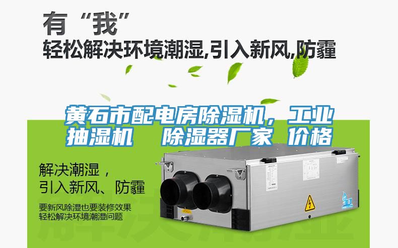黃石市配電房除濕機，工業(yè)抽濕機  除濕器廠家 價格