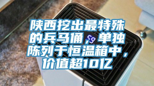 陜西挖出最特殊的兵馬俑，單獨陳列于恒溫箱中，價值超10億