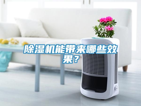 除濕機(jī)能帶來哪些效果？