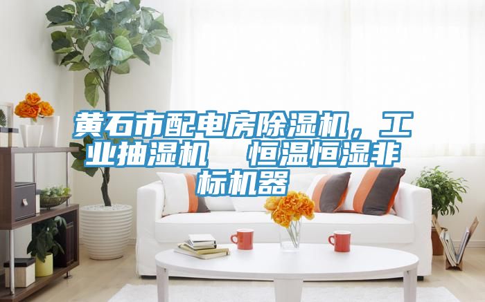 黃石市配電房除濕機，工業(yè)抽濕機  恒溫恒濕非標(biāo)機器