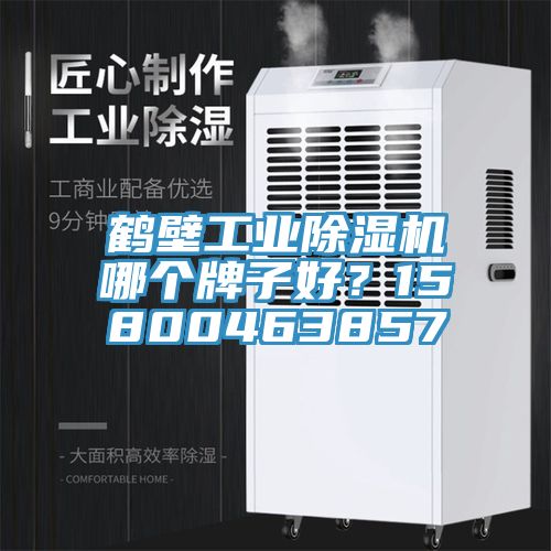 鶴壁工業(yè)除濕機(jī)哪個(gè)牌子好？15800463857
