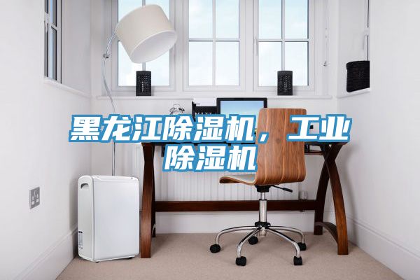 黑龍江除濕機，工業(yè)除濕機